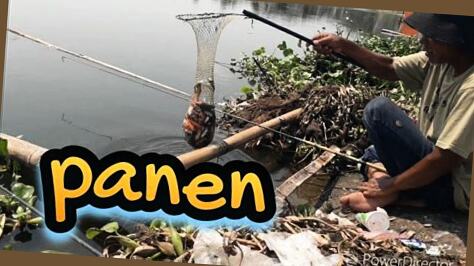 link gacor banget